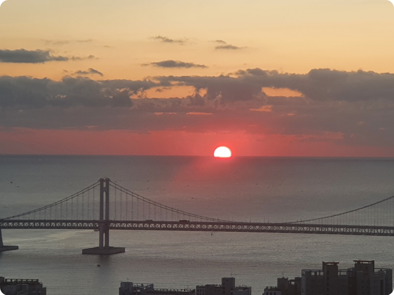 부산 금련산 새해 일출 해돋이 명소 이미지