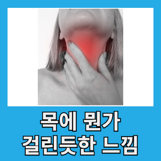 갑상선암 초기증상 목에 뭔가 걸린 듯한 느낌