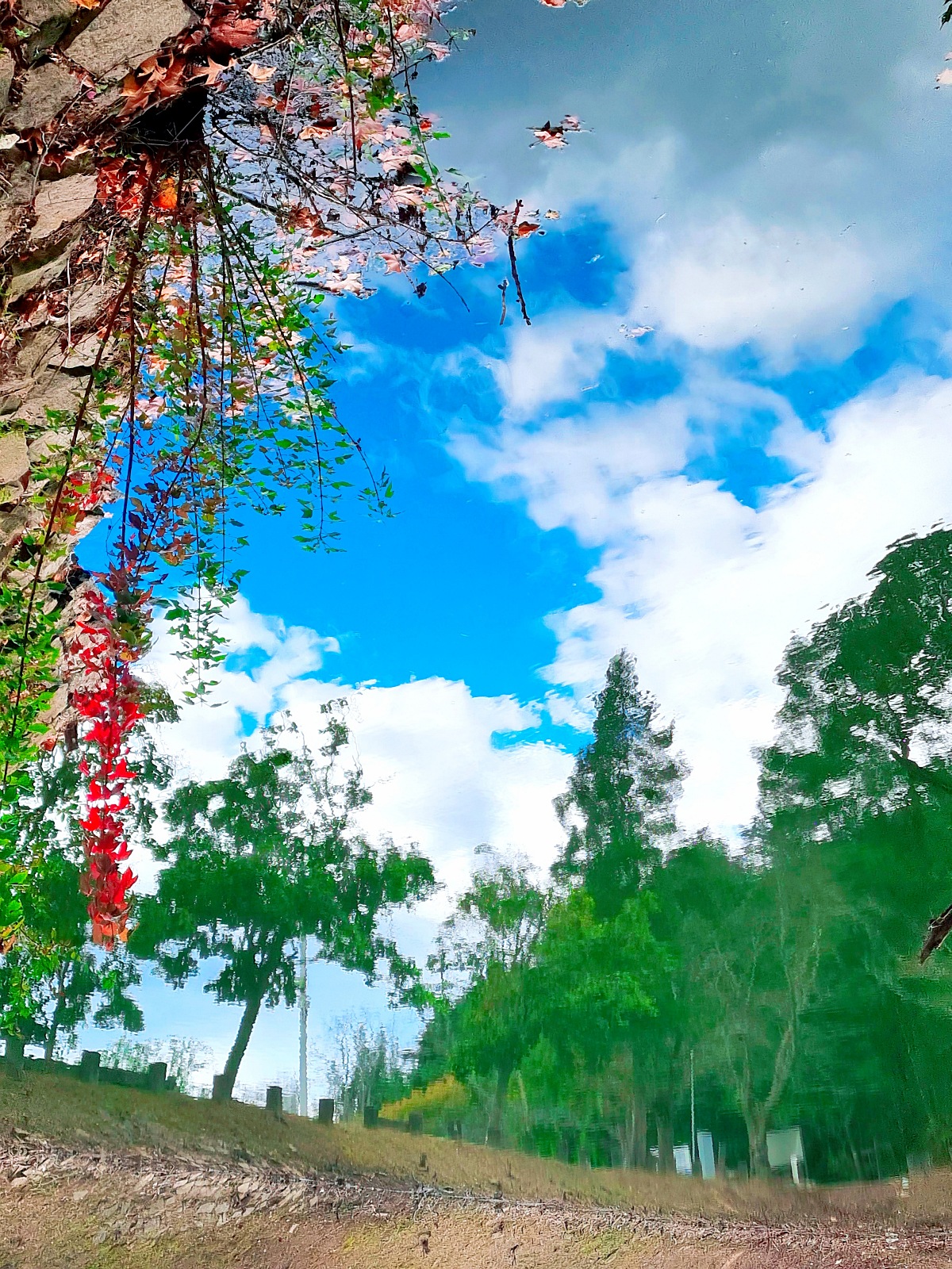 진주 가볼만한곳 진양호 공원: 진경양지 카페, 물빛갤러리, 반영이 예쁜 호수 둘레길