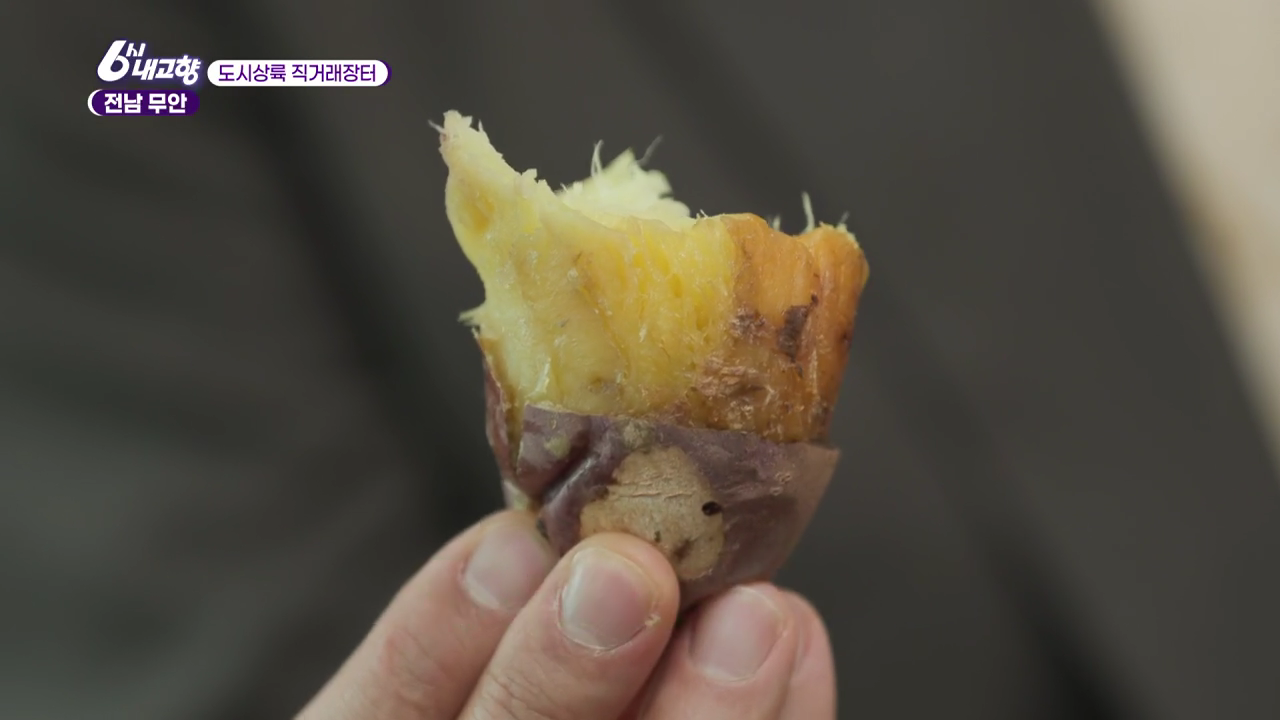 6시내고향 도시상륙 직거래장터 전남 무안 고구마를 삶아서 한입 먹은 모습