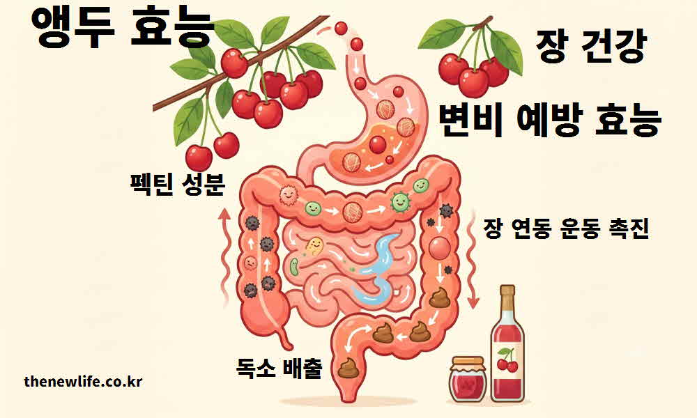 앵두 효능 장 건강 변비 예방