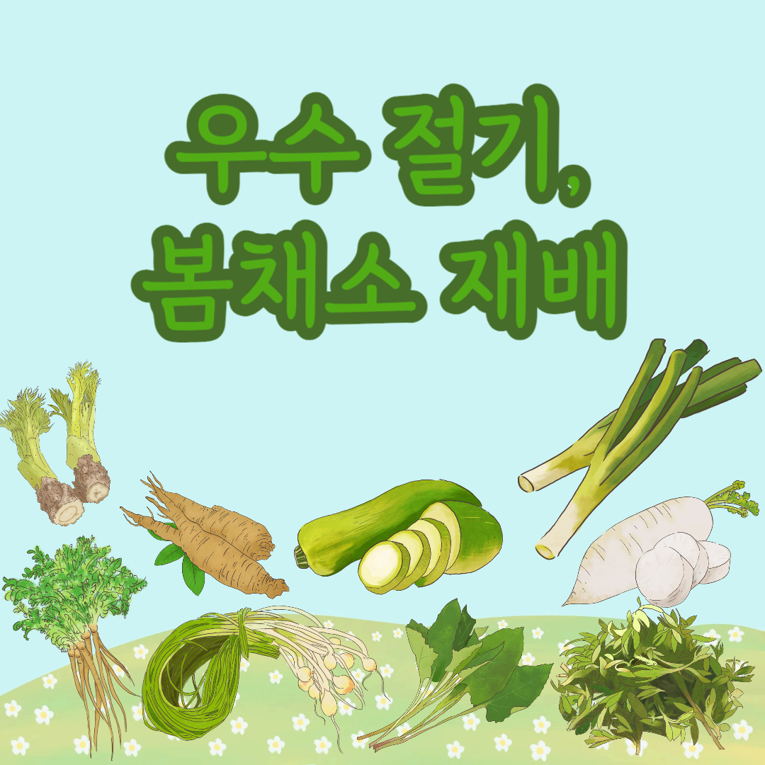 우수 절기, 봄채소 재배 시작! 싱그러운 봄을 준비하는 텃밭 가이드
