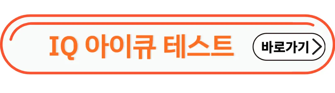 아이큐 테스트