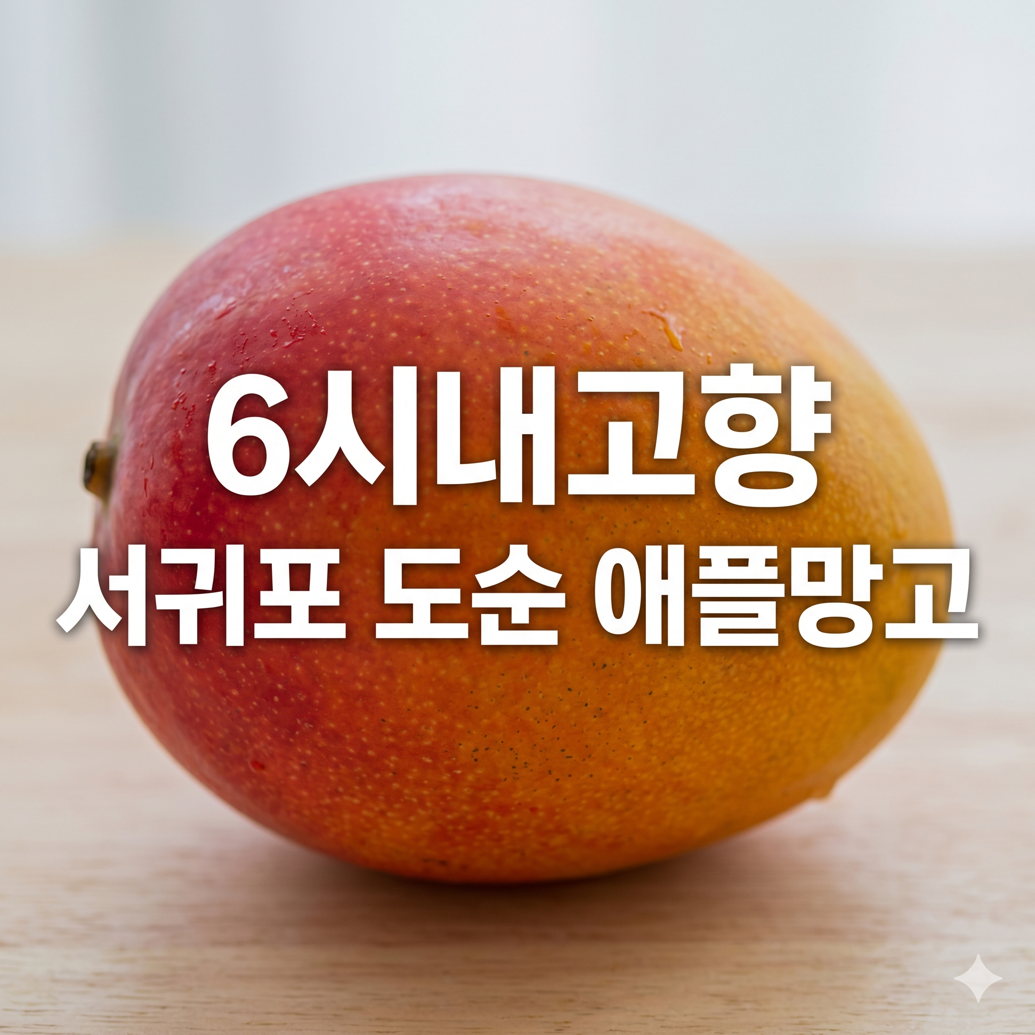 6시내고향 서귀포 도순 애플망고