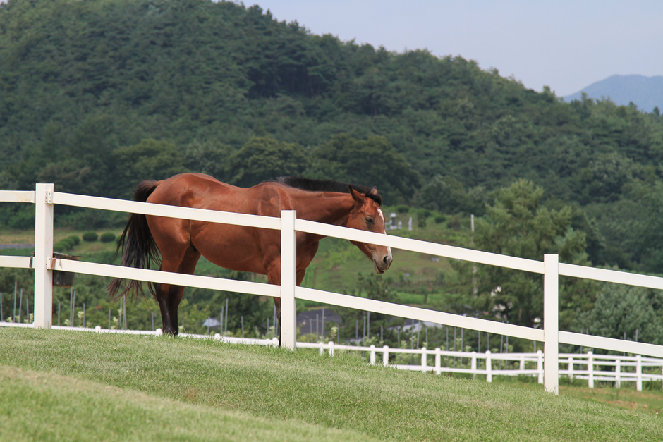장수 가볼만한곳 베스트10