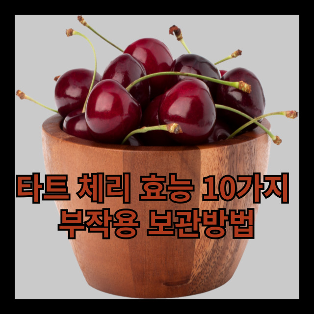 타트 체리 효능 10가지 부작용 보관방법