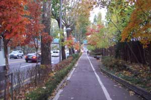 서울단풍길 96선