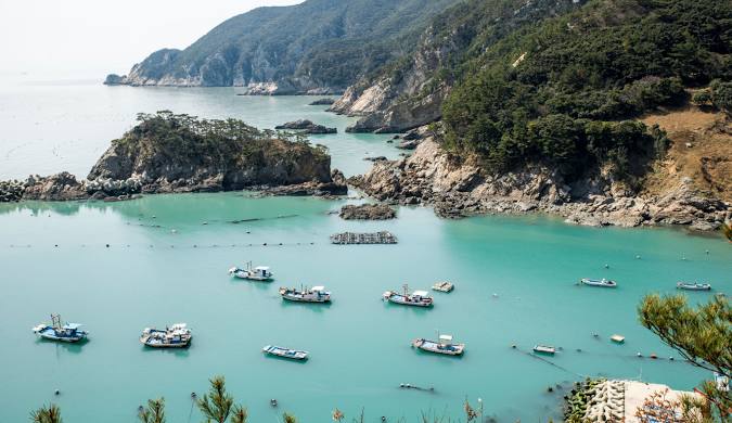 홍도 흑산도 1박2일 여행 리얼 후기 이동부터 추천 코스까지