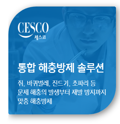 세스코 가정집 비용