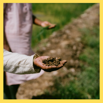농어민수당신청