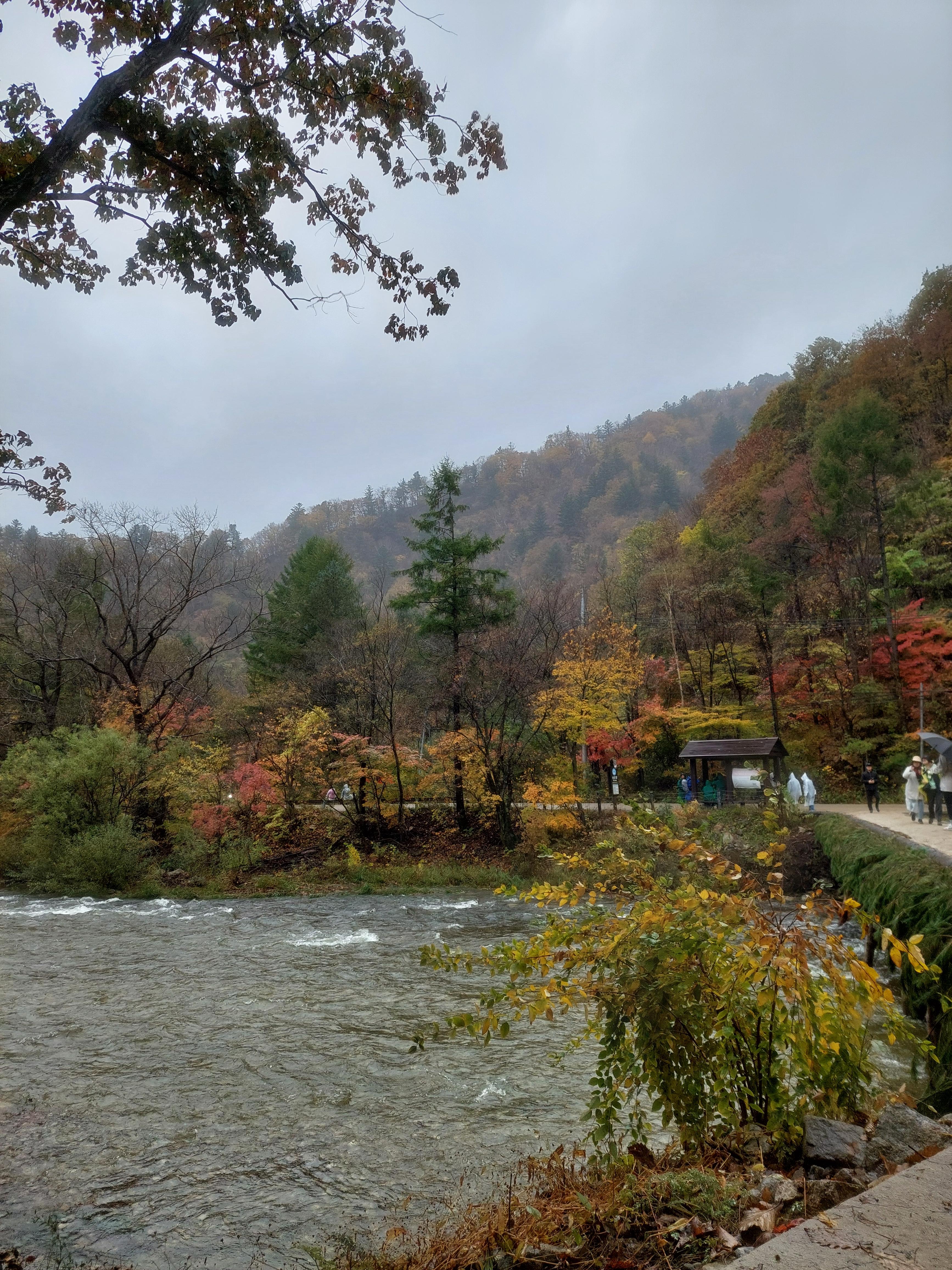선재길