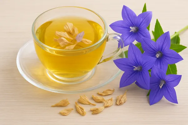 도라지꽃차 효능 및 만들기5