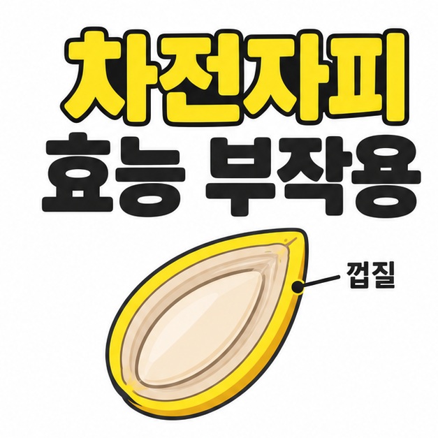 차전자피 효능 부작용 제목과 씨앗의 껍질을 가리키는 단면 도식