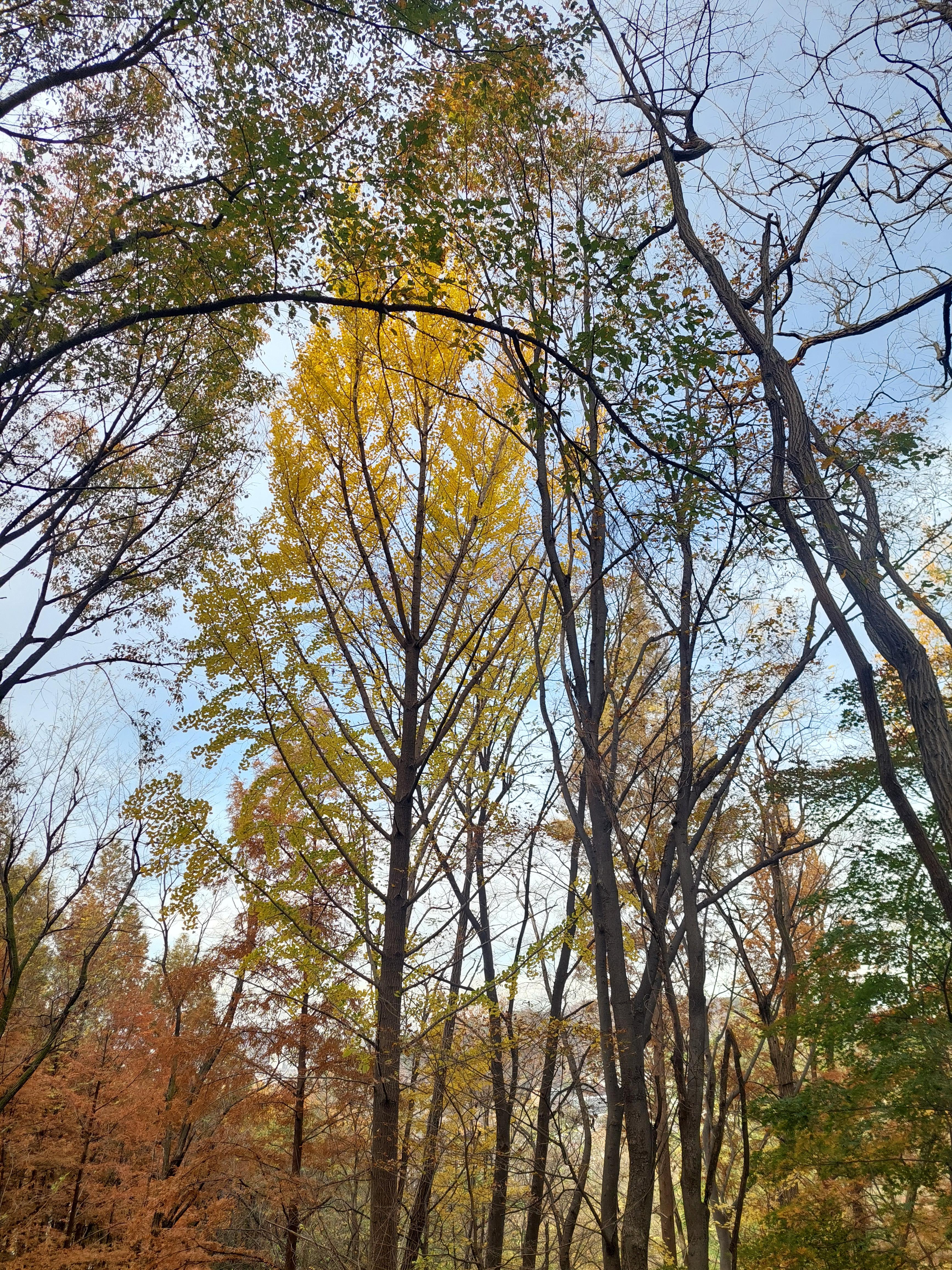 안산