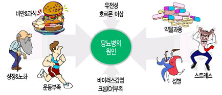 당뇨병-원인