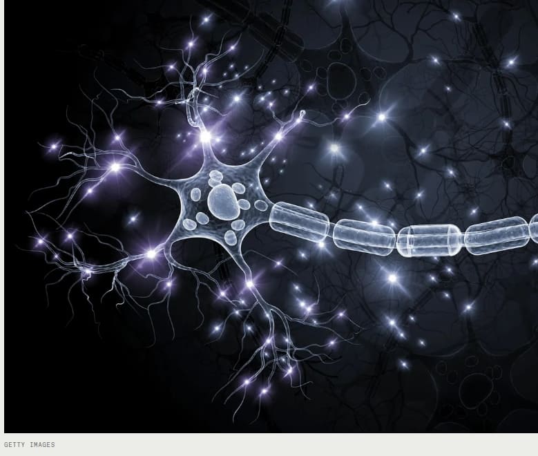 강력한 AI, 클라우드 대신 스마트폰에서 실행 가능해져 Dendrocentric AI Could Run on Watts, Not Megawatts