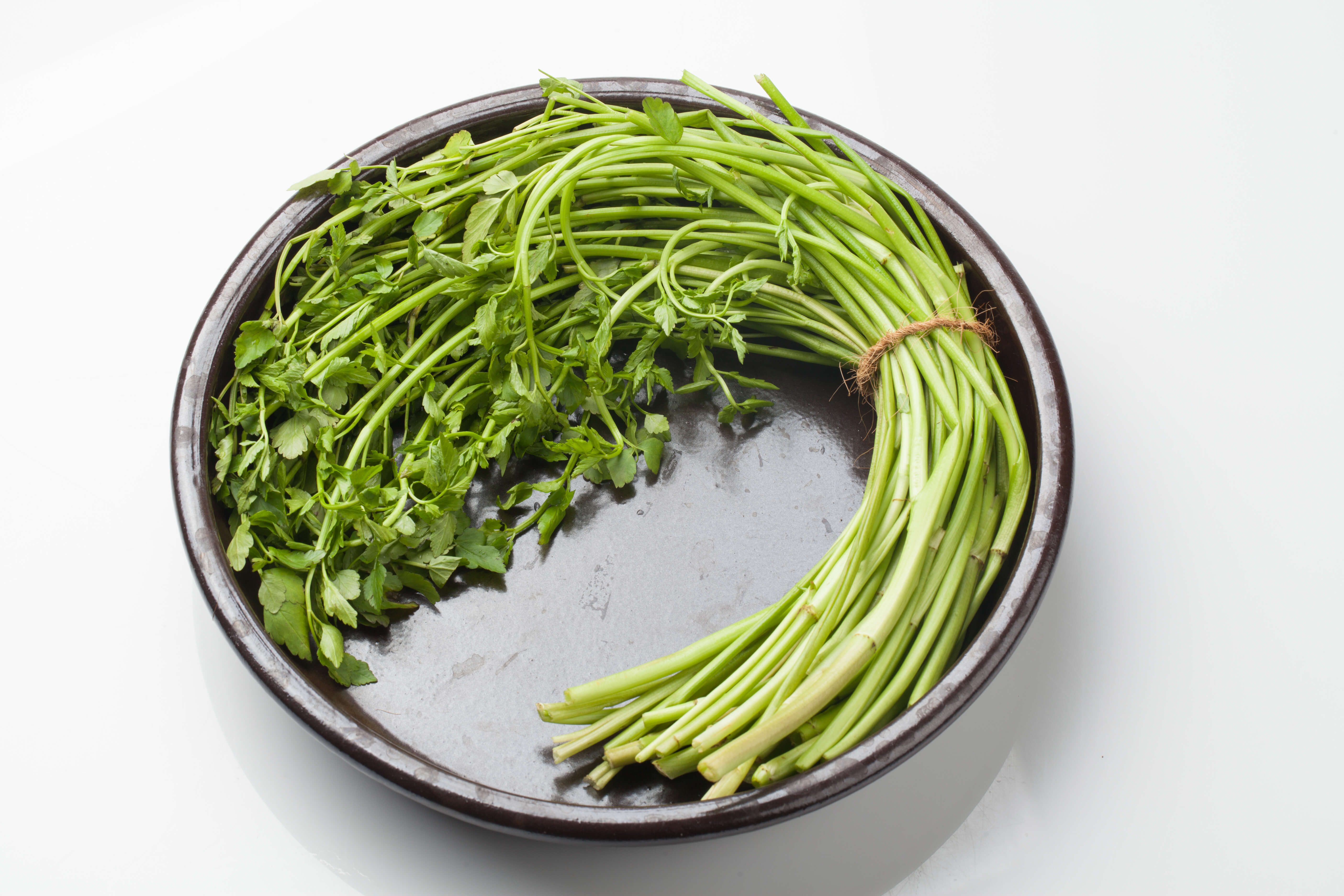 그릇에 담은 미나리 사진