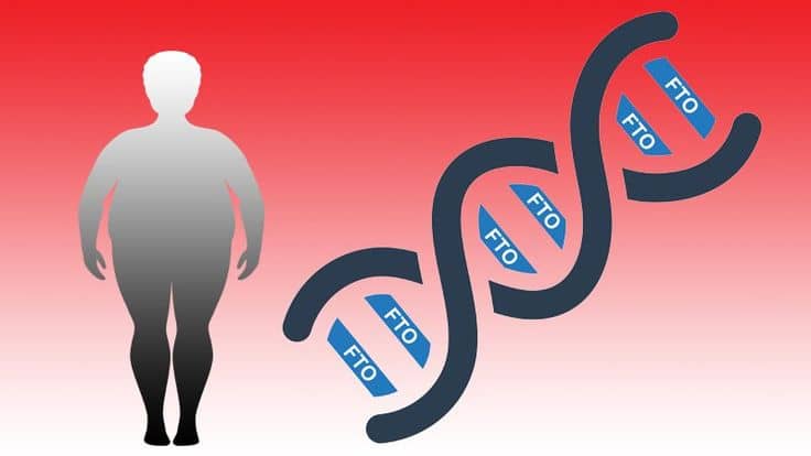 고대 유전자와 비만의 연결고리: 수렵 채집인의 지방 저장 전략은 지금도 작동할까?