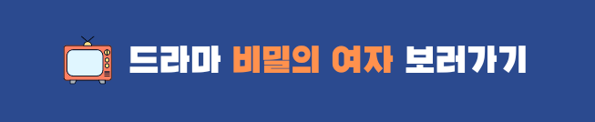 비밀의 여자 드라마