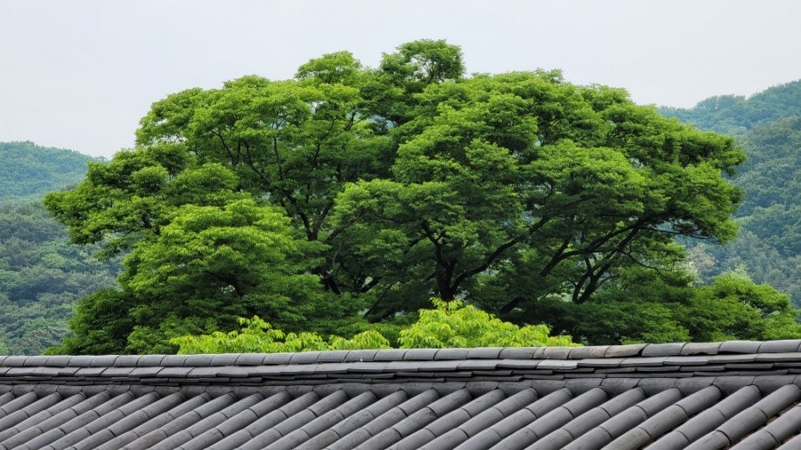 남한산성 대표이미지