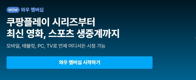 쿠팡플레이보기