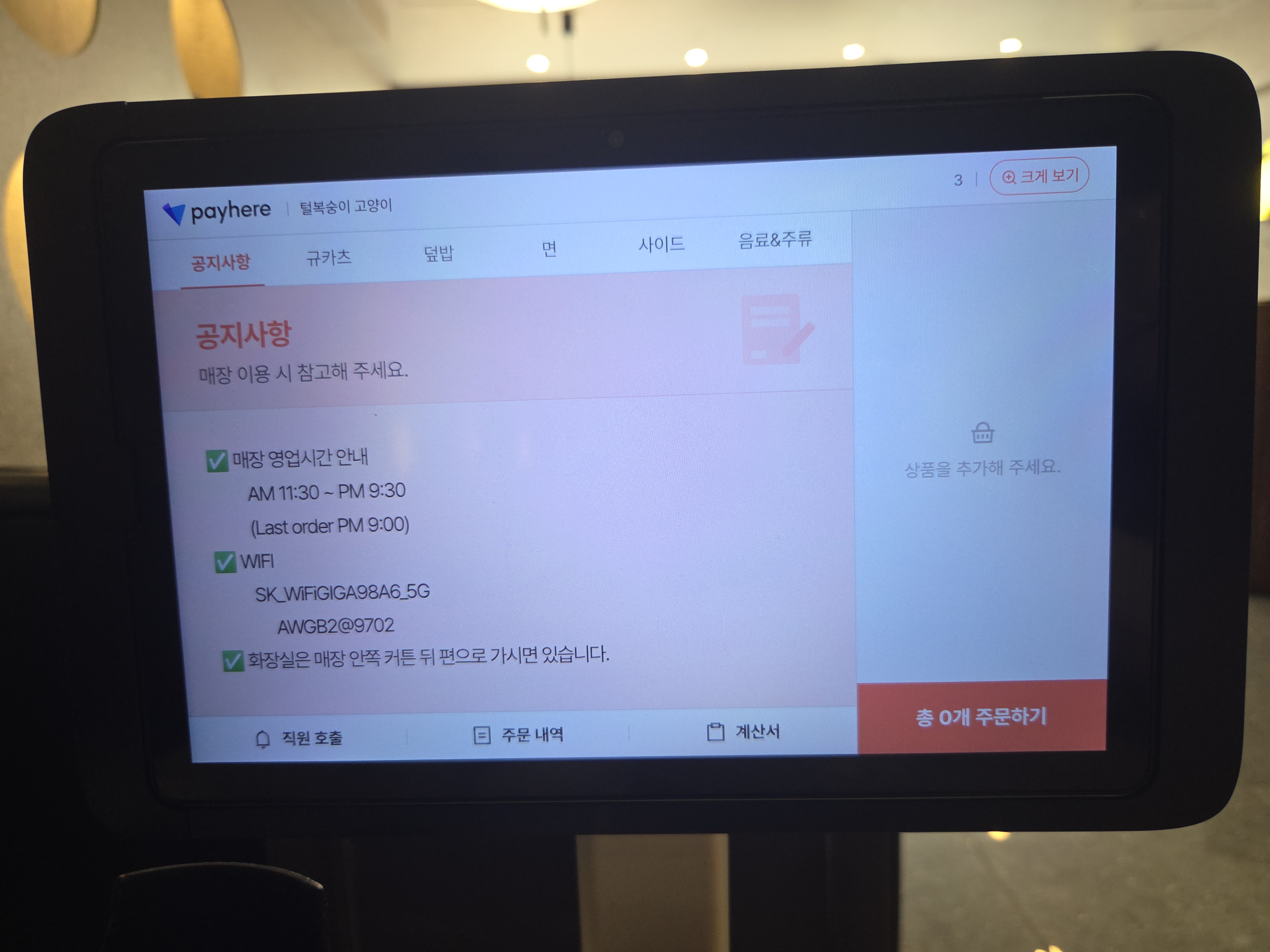 털복숭이고양이