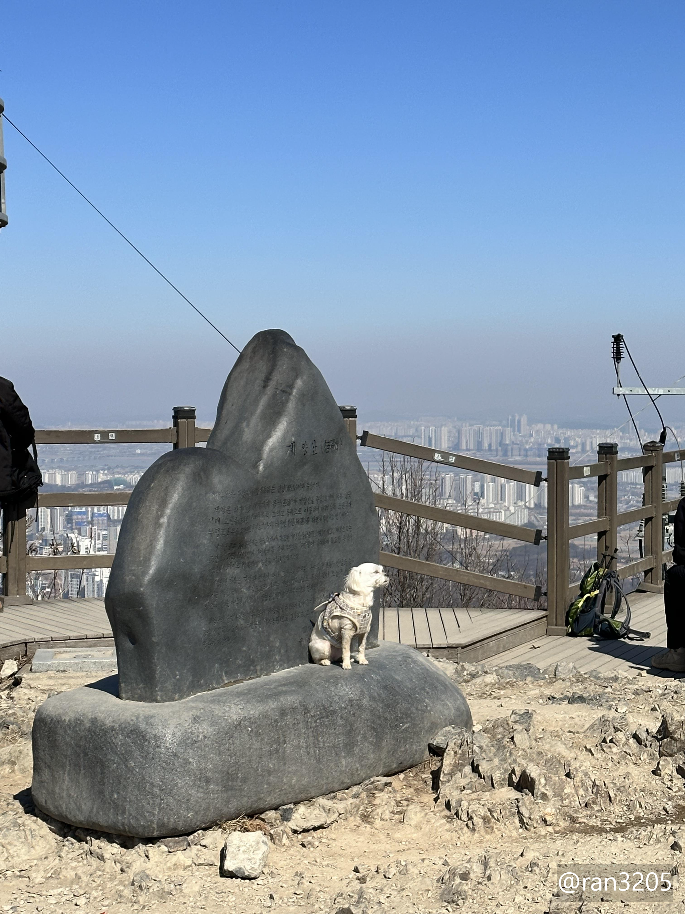 계양산 정상 비석에서 사진찍는 강아지