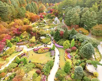 아침고요수목원 단풍시기_3