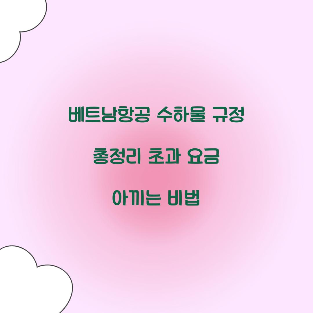 베트남항공 수하물 규정