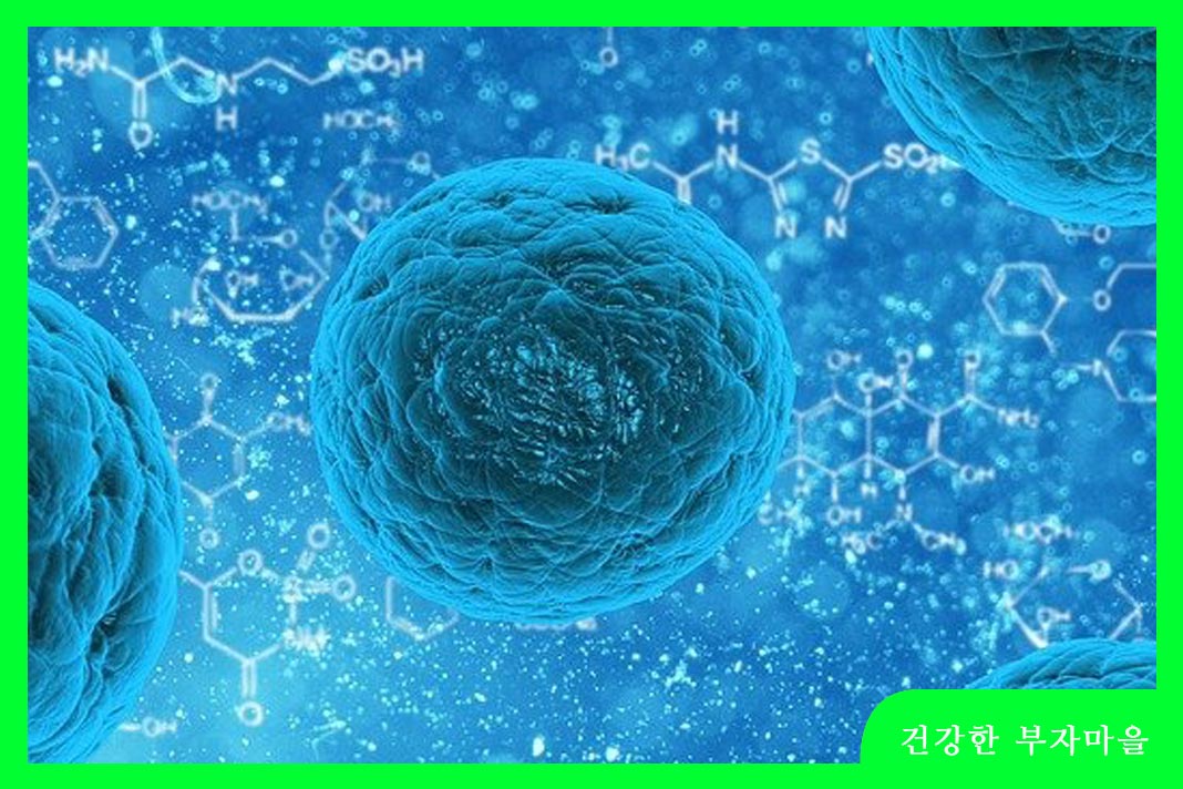 오미크론 잠복기란?