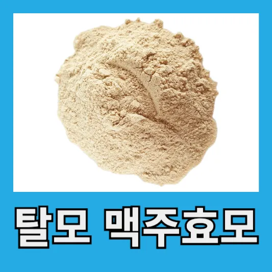 30대 탈모 맥주효모 효능 섭취방법 맥주효모 분말 정제 캡슐