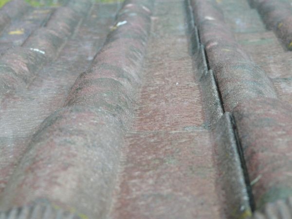 1호 태풍 우딥 경로 (+ 실시간 현재 위치) 