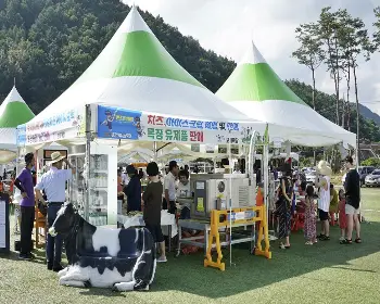 평창 더위사냥 축제23
