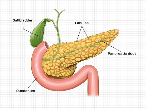 고혈당 증상: 체중 감소 당뇨병