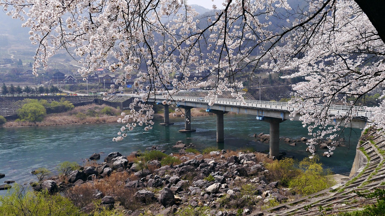 충주 비내섬 관련 사진
