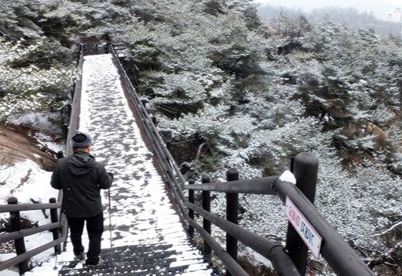 서울·경기권 겨울에 걷기 좋은 숲길 & 트레킹 코스 BEST 7