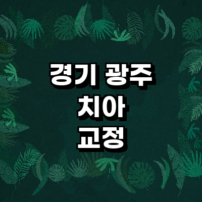 경기도 광주 교정 치과