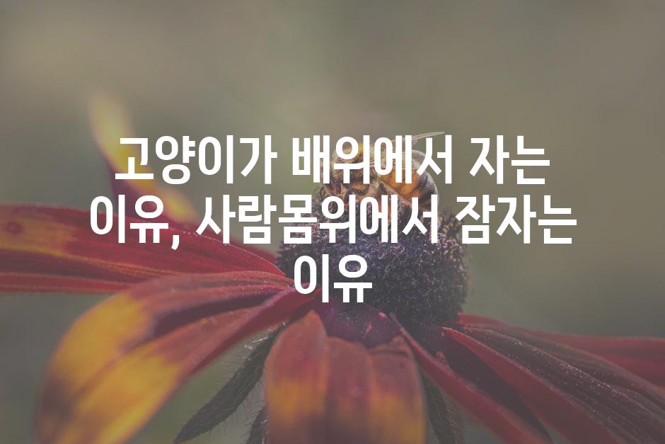 API 할당량 초과 오류 5
