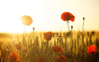 스우파2 루키 계급미션 메인댄서