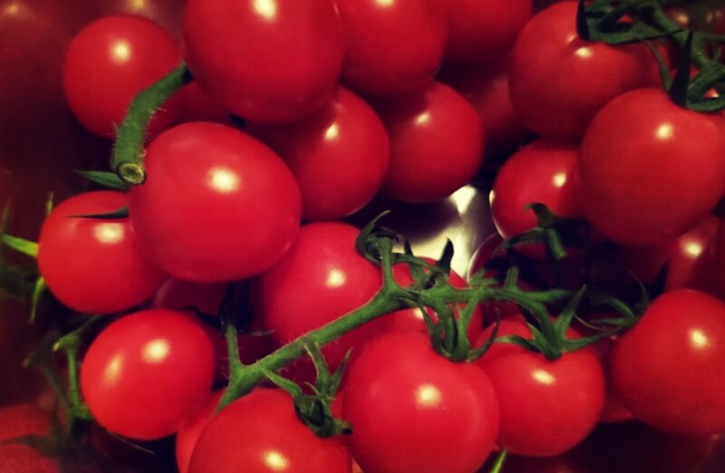 잘익은-빨간-토마토