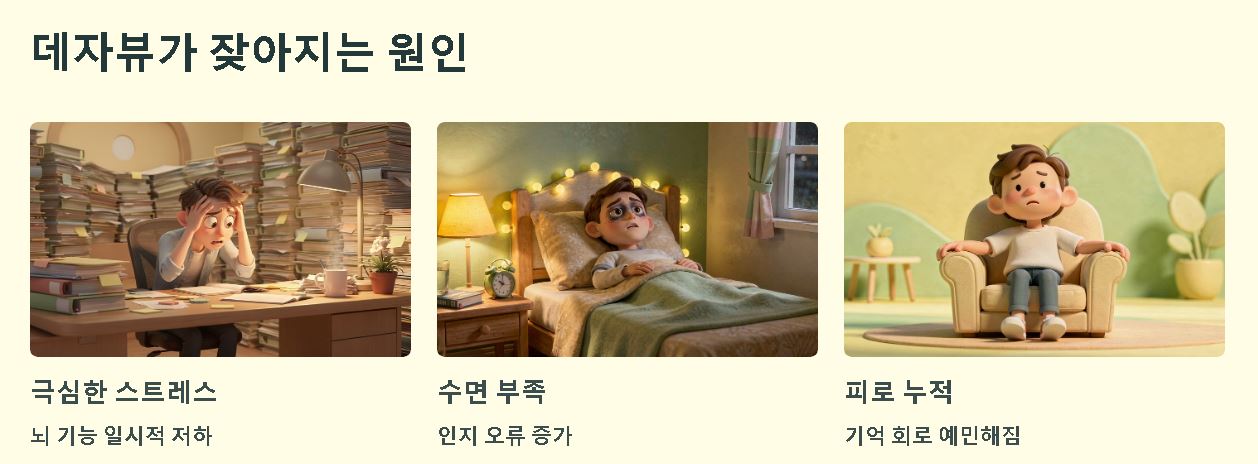 데자뷰의 뜻 원인