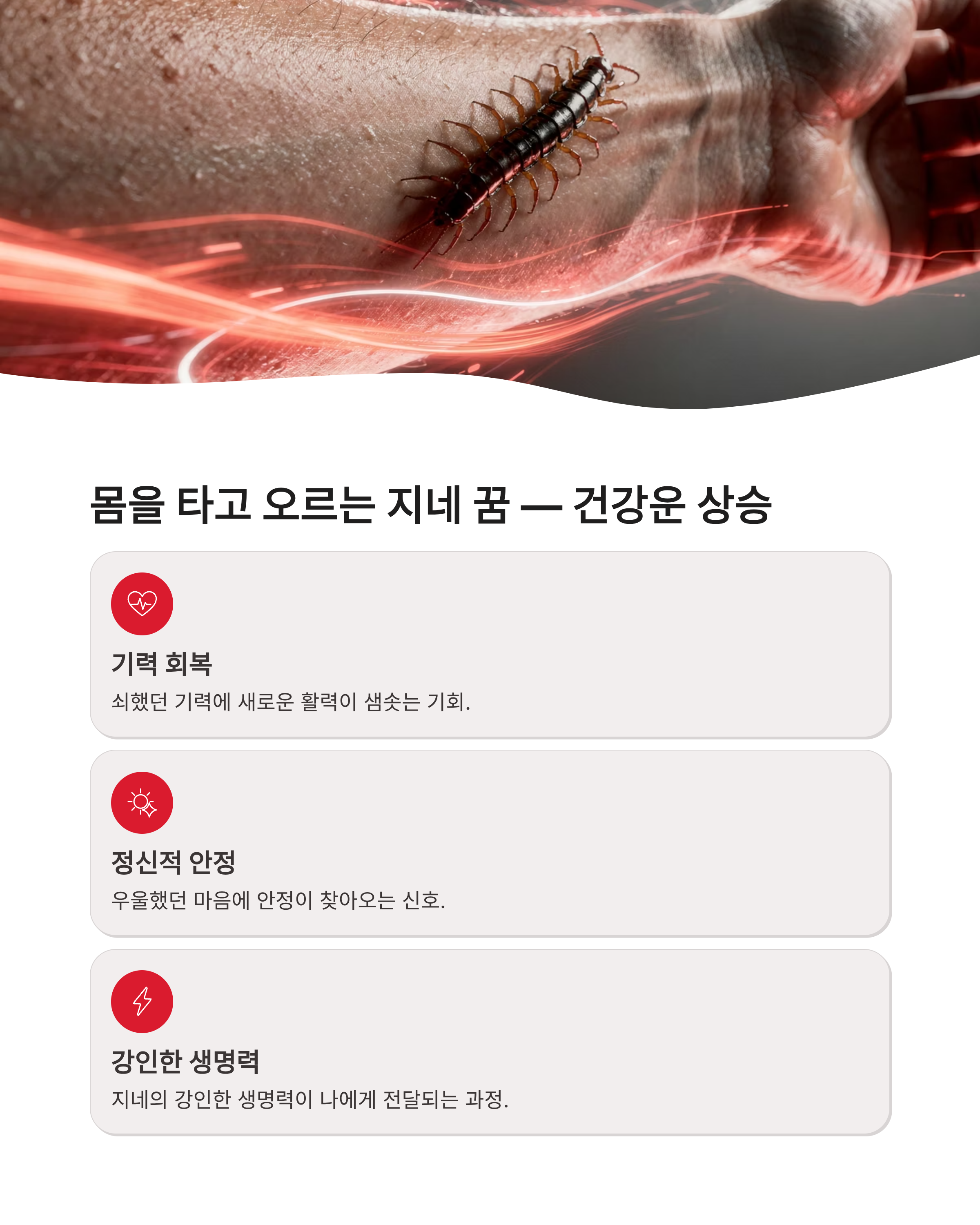 지네꿈 해몽 지네 나오는 꿈 물리는 꿈 큰 지네 잡는 꿈 총정리! 징그러움 뒤에 숨겨진 엄청난 재물운의 비밀?