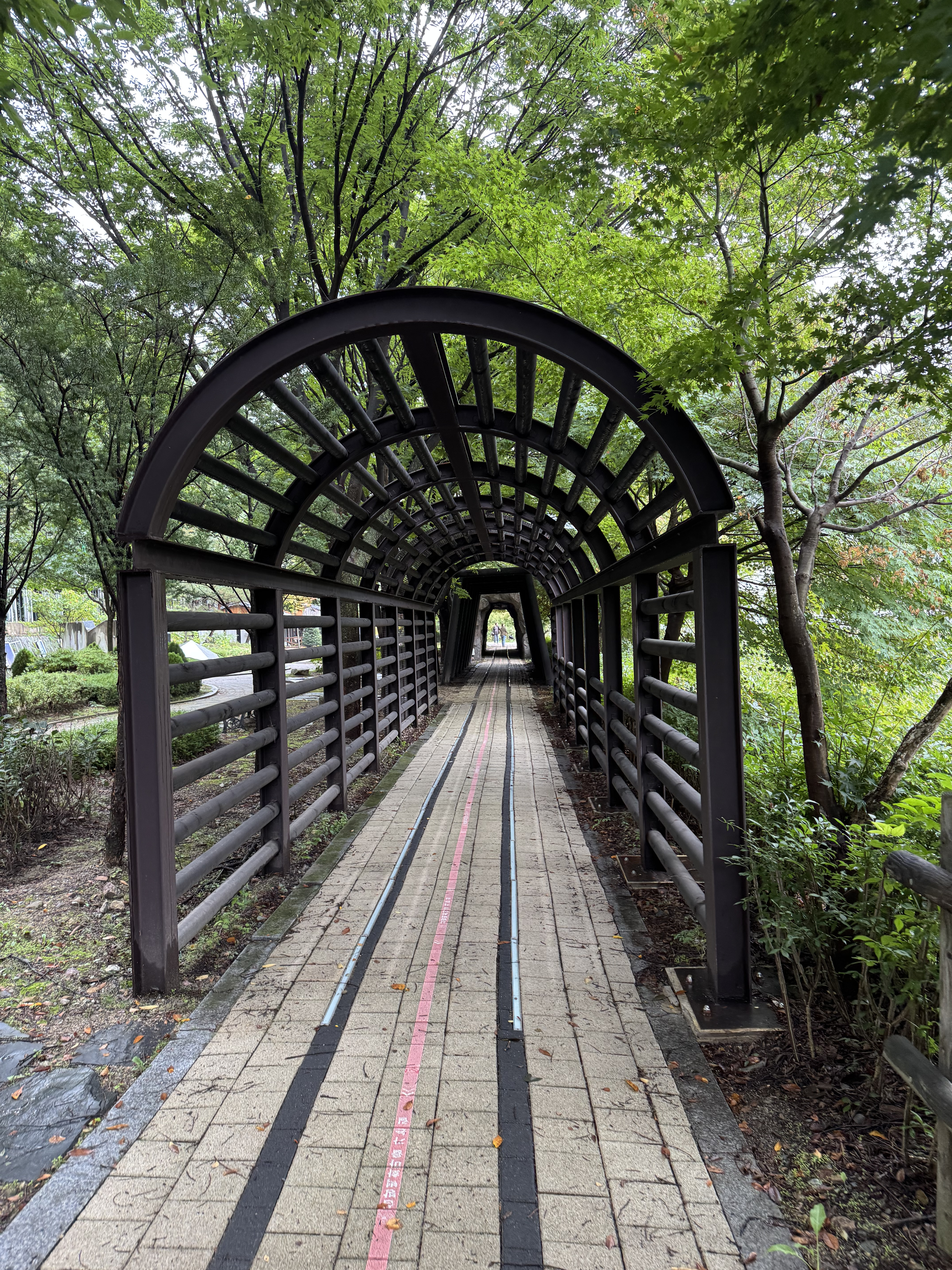 태백 여행 코스 정리, 협곡열차·산타마을·탄광·용연동굴까지