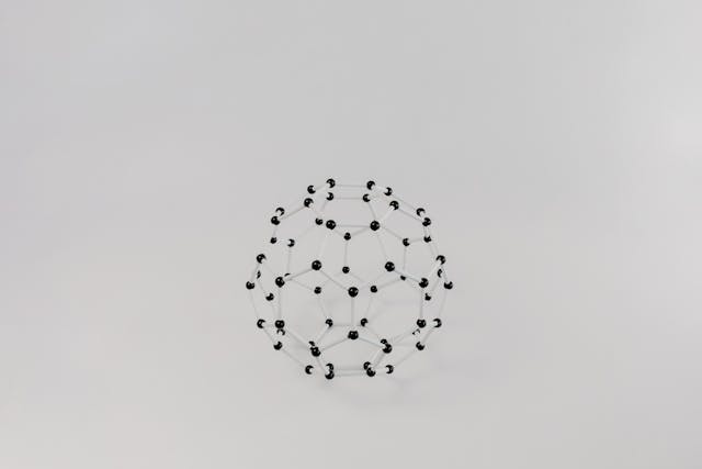 바이러스모형