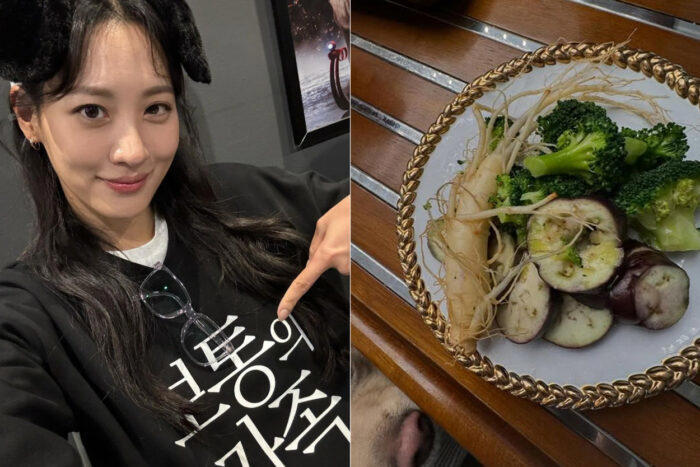 배우 수현의 페스코 베지테리언