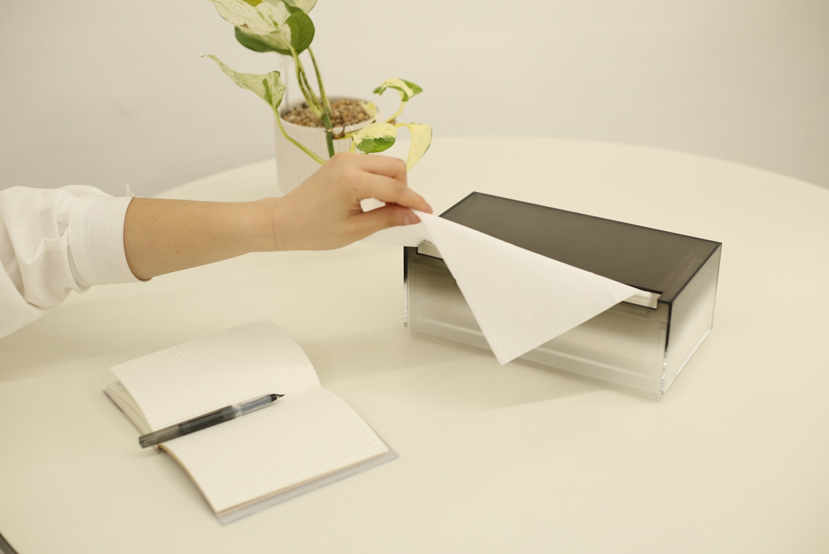 티슈 뽑는 사진