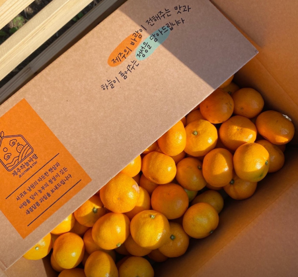 제주하늘바람 감귤