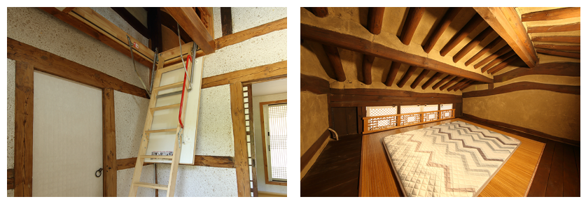 6월 축제 가볼만한 곳 (꽃축제)