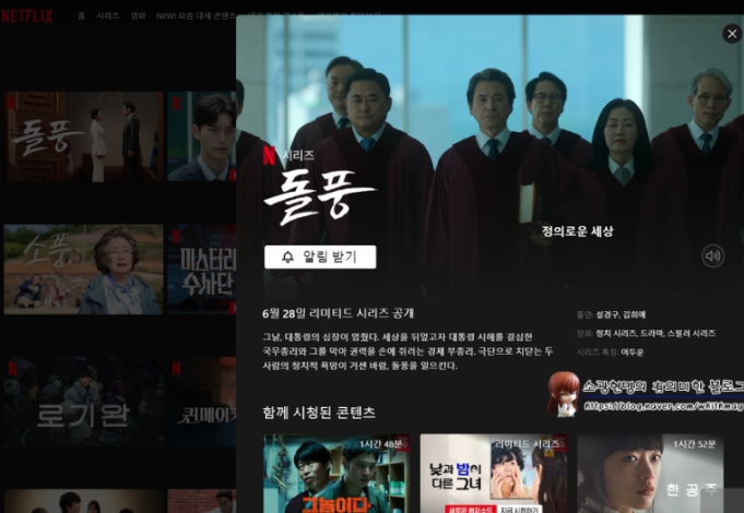넷플릭스 돌풍