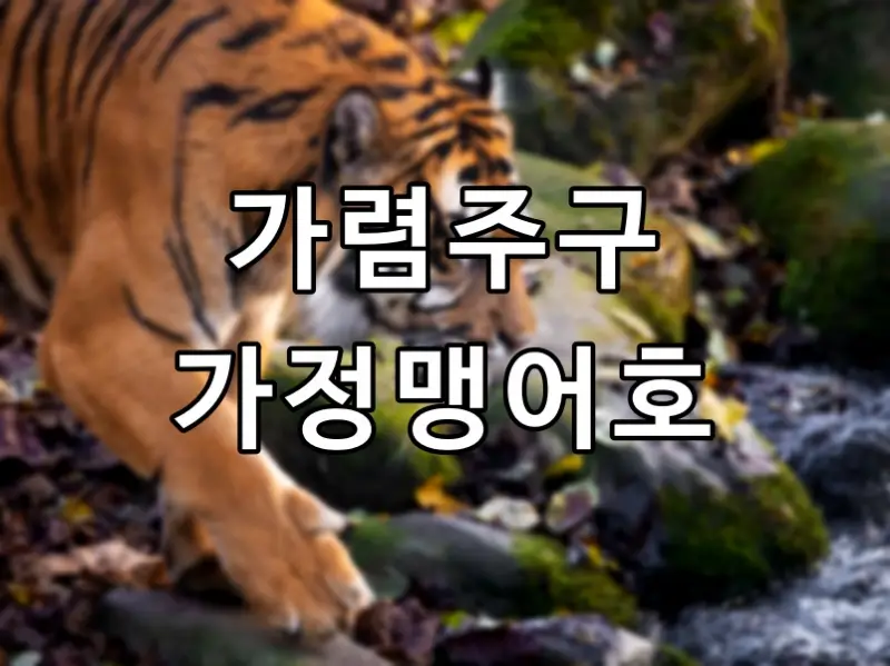 가렴주구 苛斂誅求 가정맹어호 苛政猛於虎